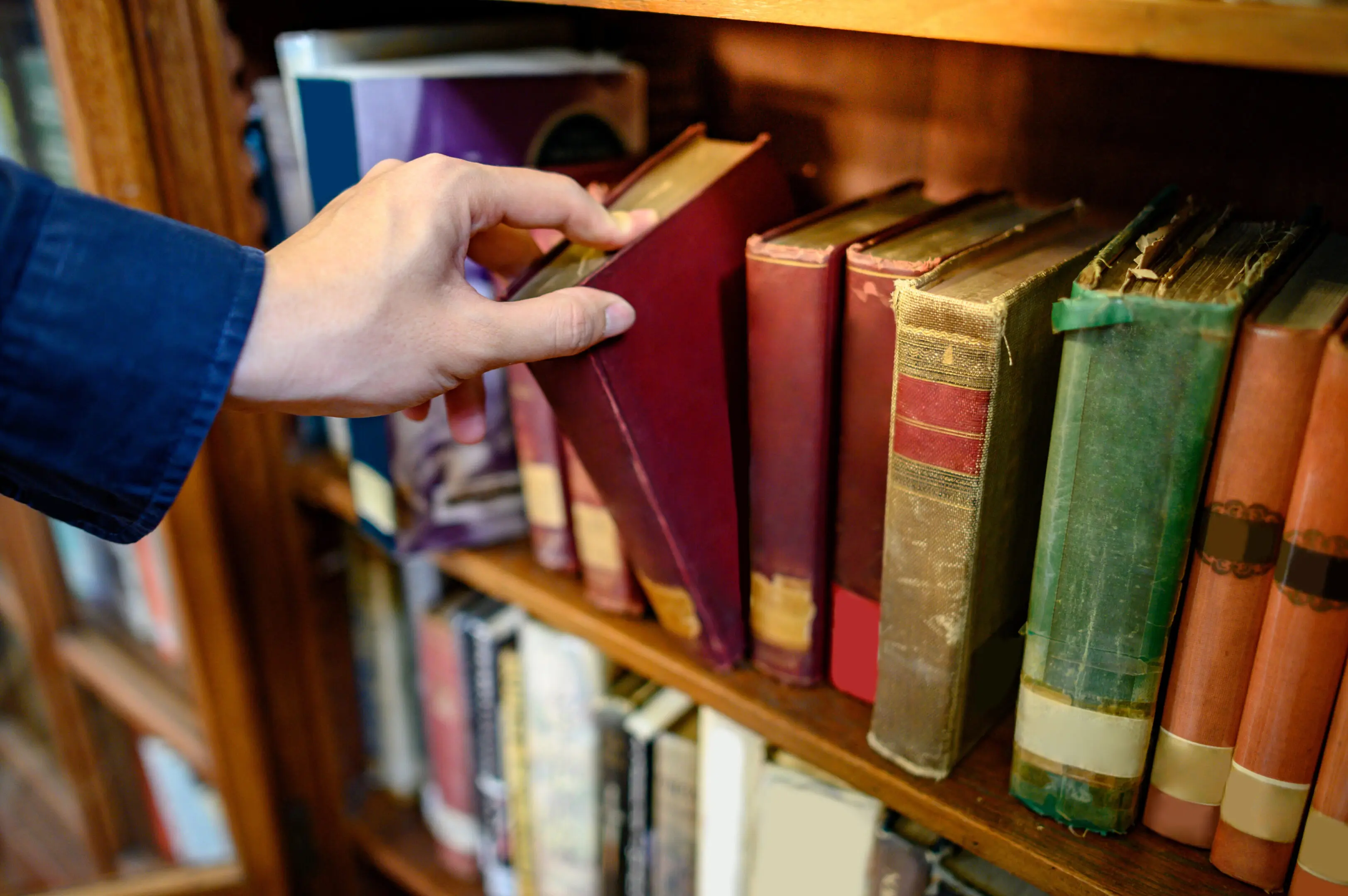 Several Leatherbound Books